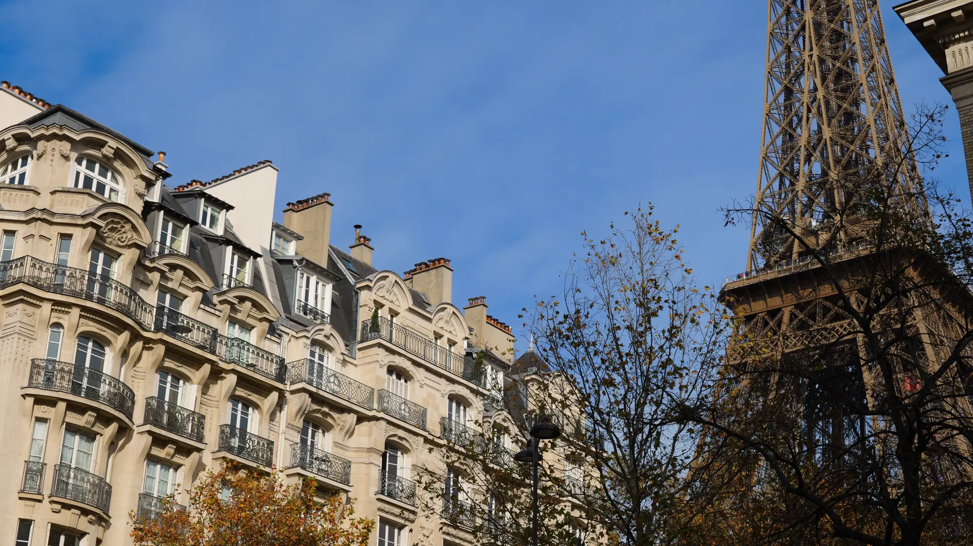 Parisian buildings next to their Eiffel Tower